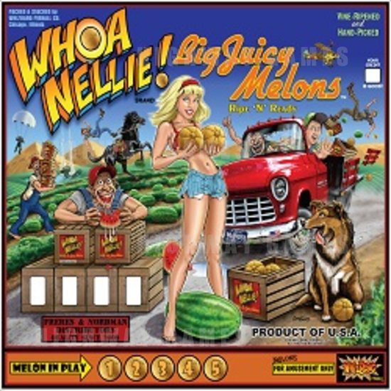 Stern and Whizbang Announce New Partnership for Whoa Nellie! Pinball Machine - Whoa Nellie! Back Glass
