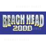 Beachhead 2000 Exceeds Expectations