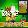 Incredible Technologies Announces Golden Tee LIVE June Sweepstakes