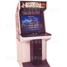 Dead or Alive Arcade Machine