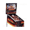 No Fear Pinball (1995)