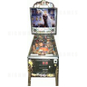 The Addams Family Special Collector's Edition Pinball (1994)