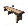 Bumper Shuffleboard